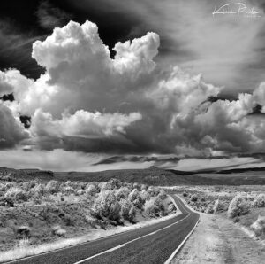 zzzzz The Road home 2020 web